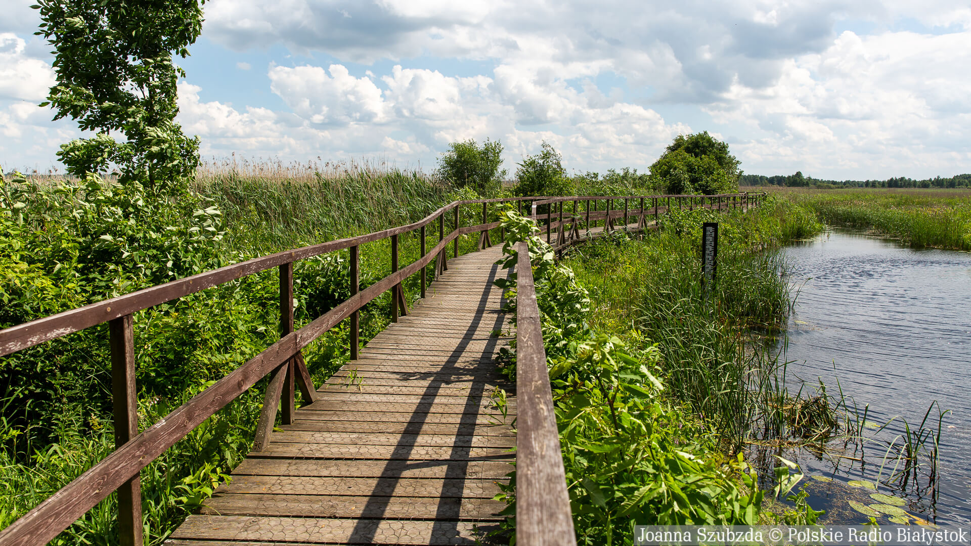 Grzegorz Piekarski jest nowym dyrektorem Narwiańskiego Parku Narodowego