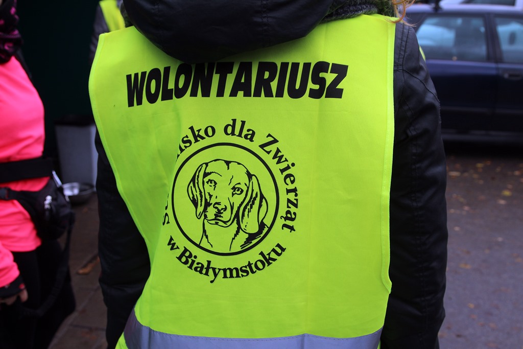 "Herbatka na czterech łapkach" - w białostockich kawiarniach zachęcano do adopcji psów ze schroniska