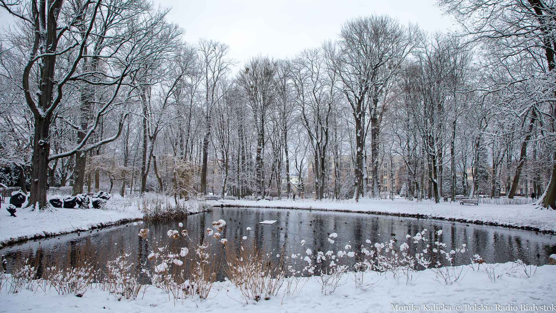Śnieżna zima w Białymstoku [zdjęcia]