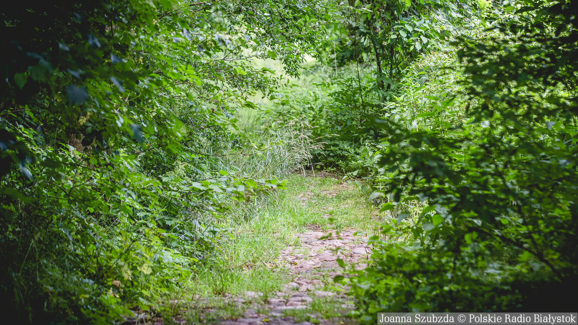 Na północy Suwałk powstaną trzy nieduże parki