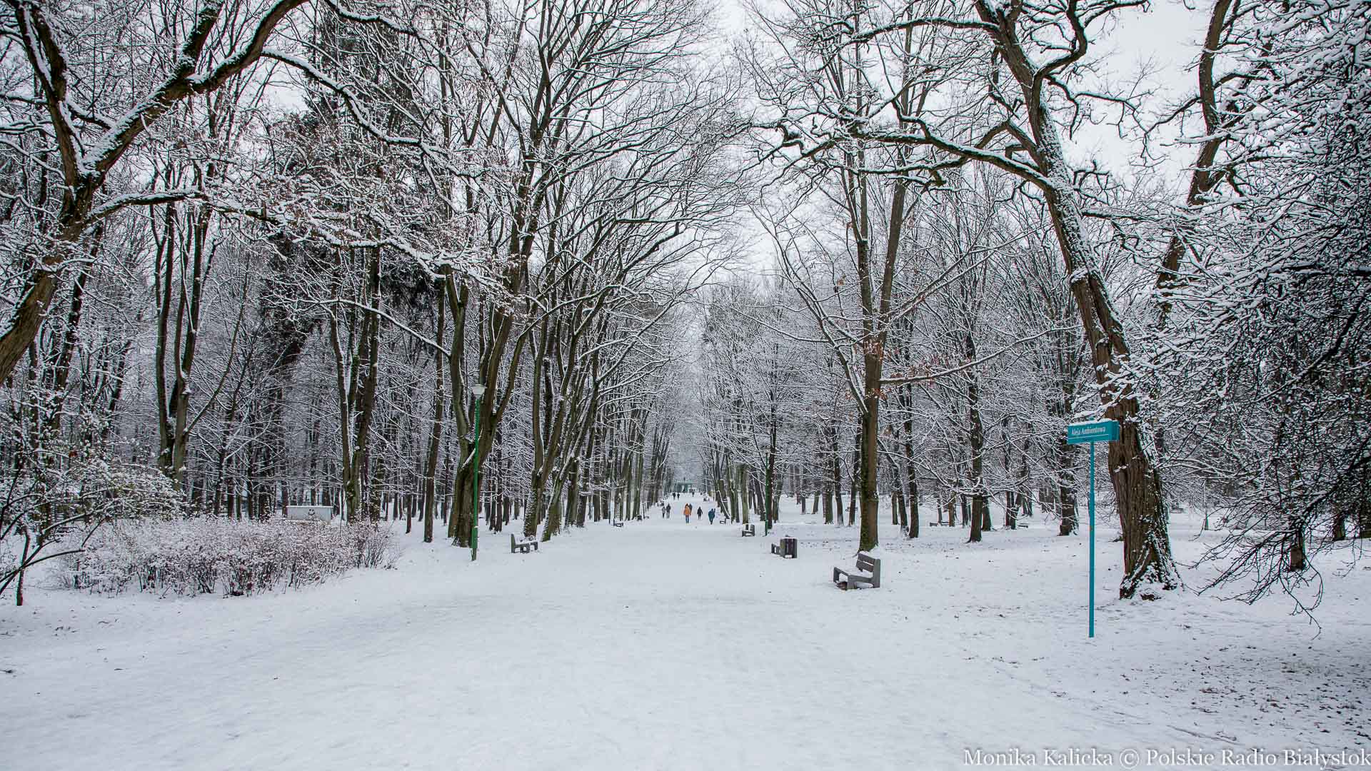 Za nami kolejna mroźna noc w Podlaskiem