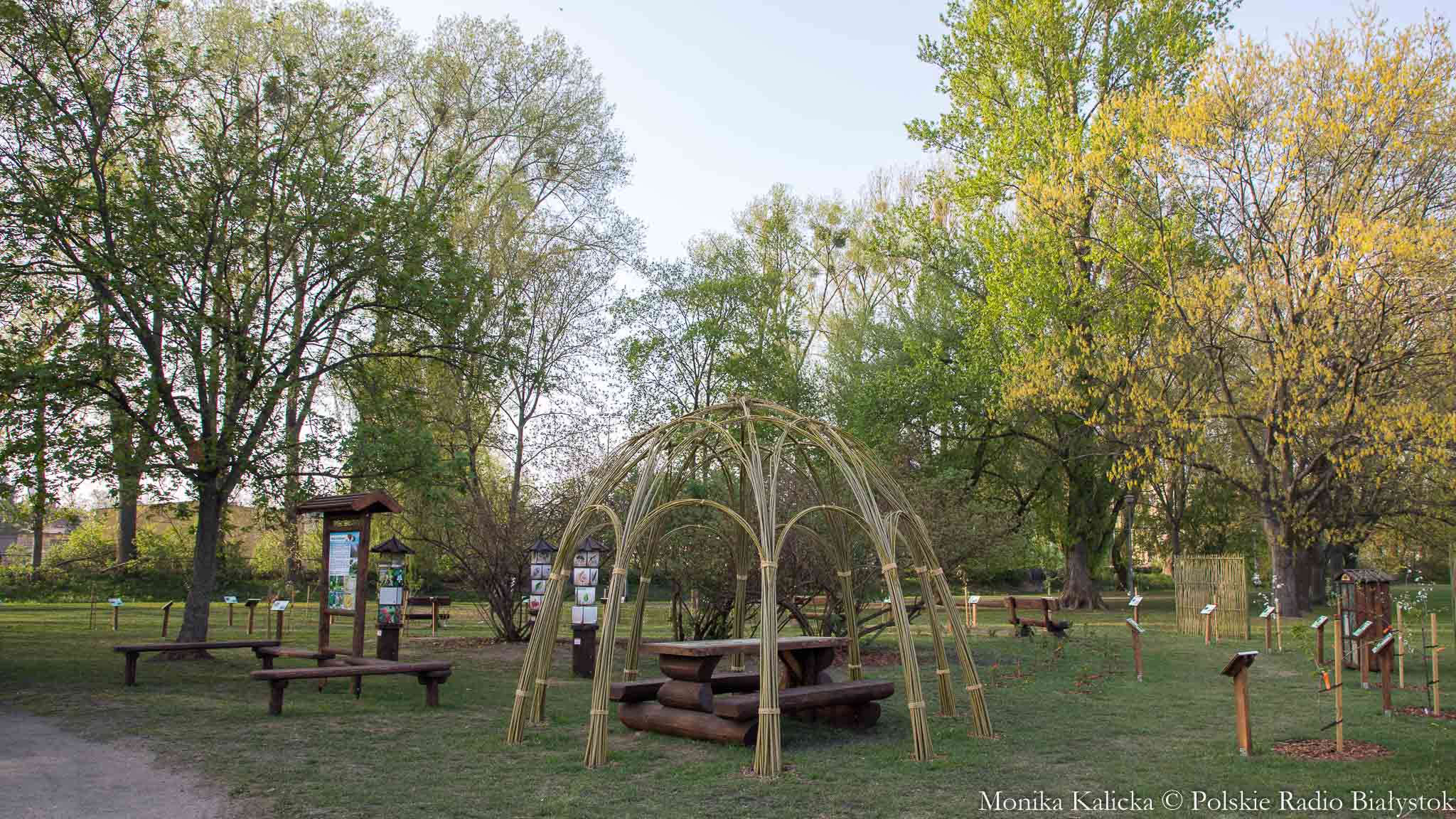 Otwarcie pierwszego sadu edukacyjnego w Białymstoku [zdjęcia]