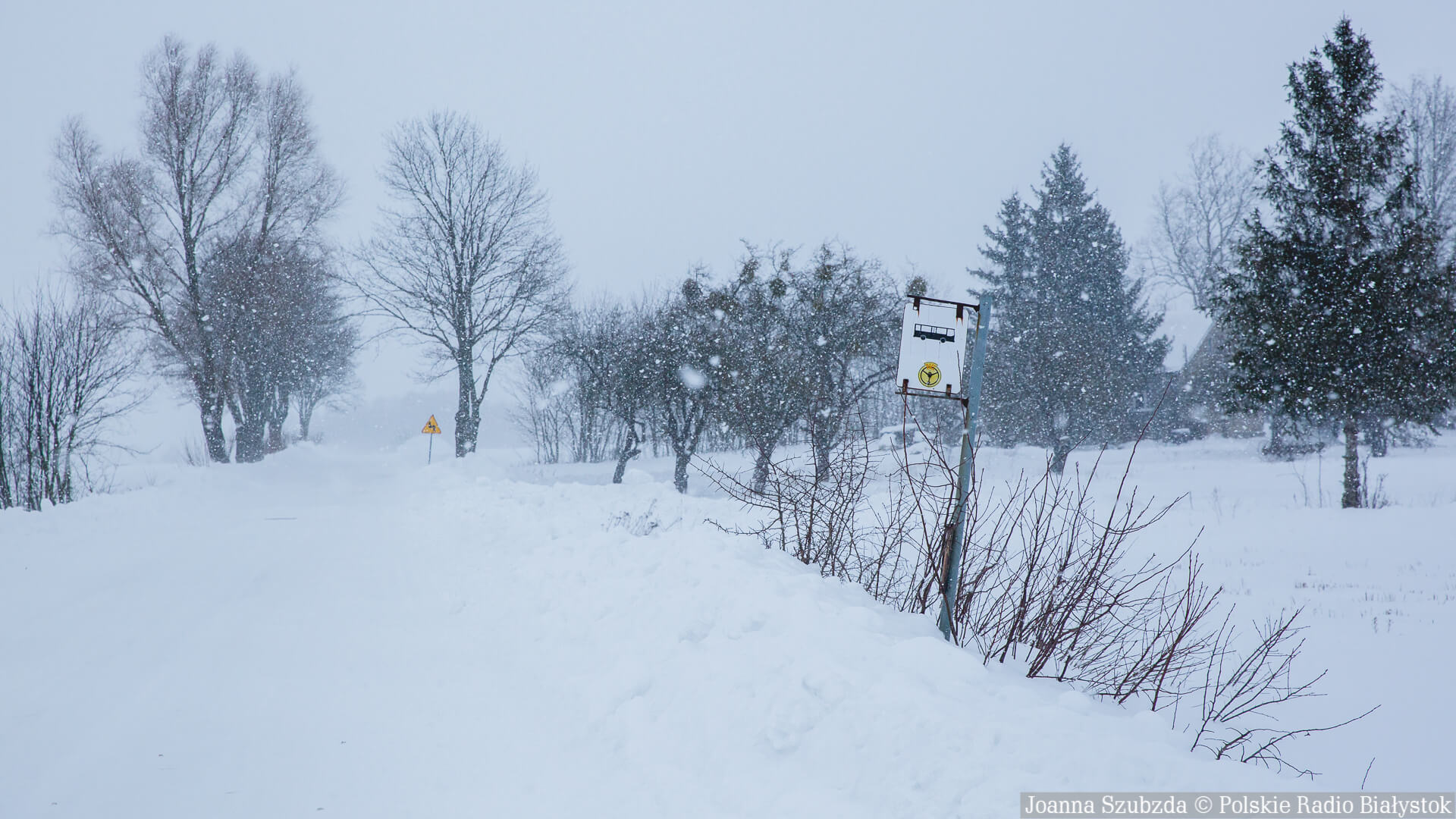 Świat według przedszkolaków - w dżungli pada ciepły śnieg
