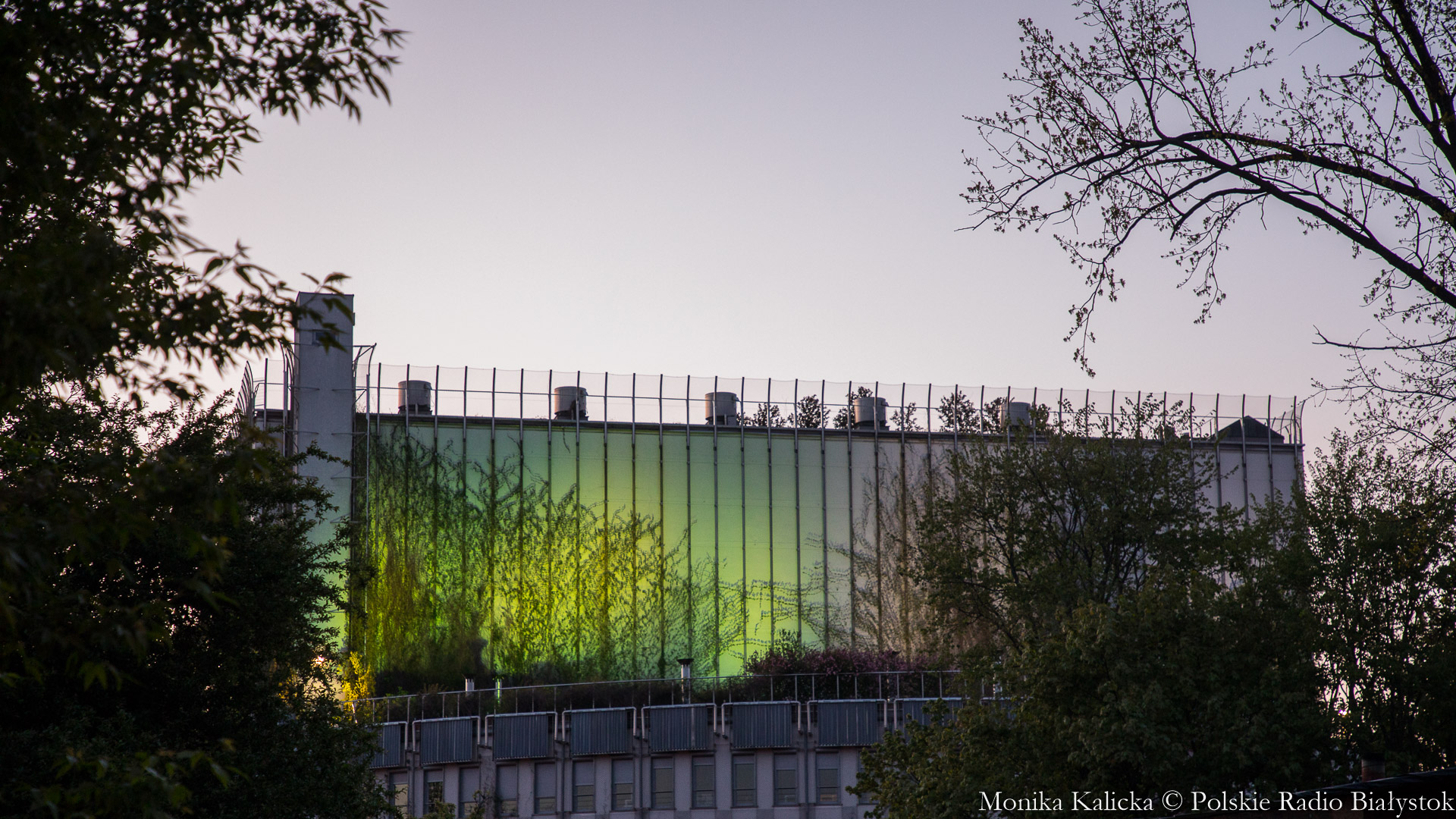 OiFP uczciła 100. rocznicę urodzin św. Jana Pawła II