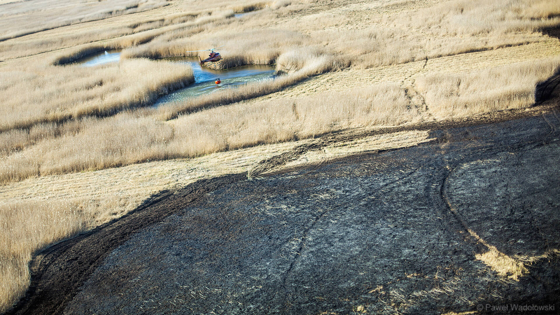 Naukowcy pomogą w szacowaniu strat przyrodniczych po pożarze w BPN