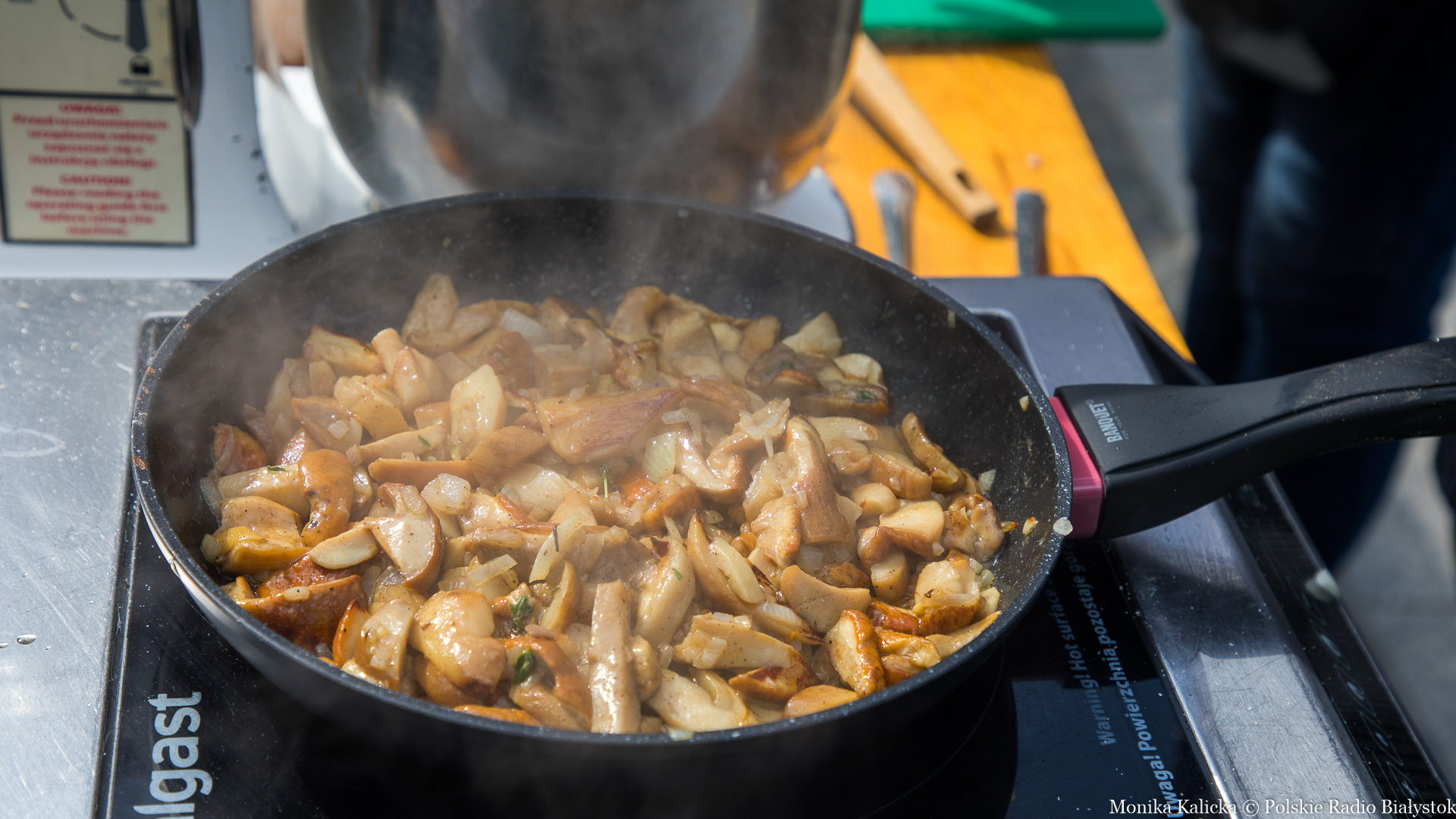 Podlaski Festiwal Borowika przed Teatrem Dramatycznym w Białymstoku [zdjęcia]