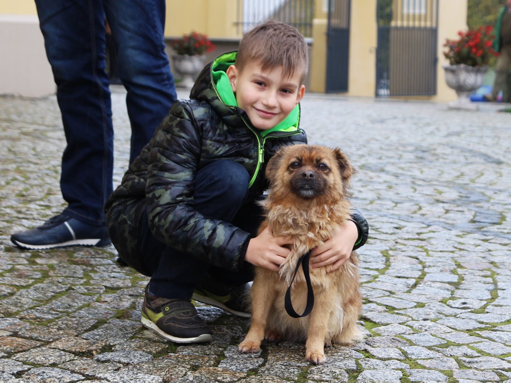 Msza święta połączona z błogosławieństwem zwierząt w Choroszczy