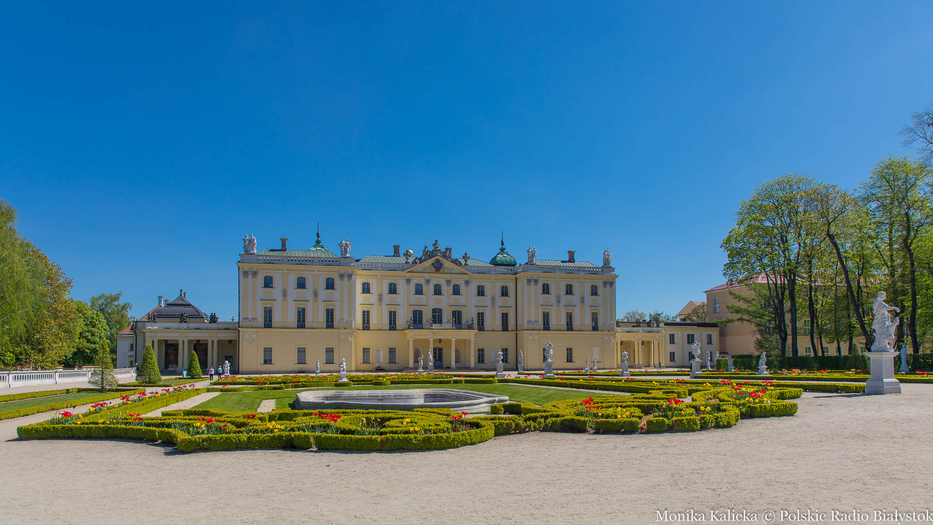 Coraz więcej studentów Uniwersytetu Medycznego zakażonych koronawirusem