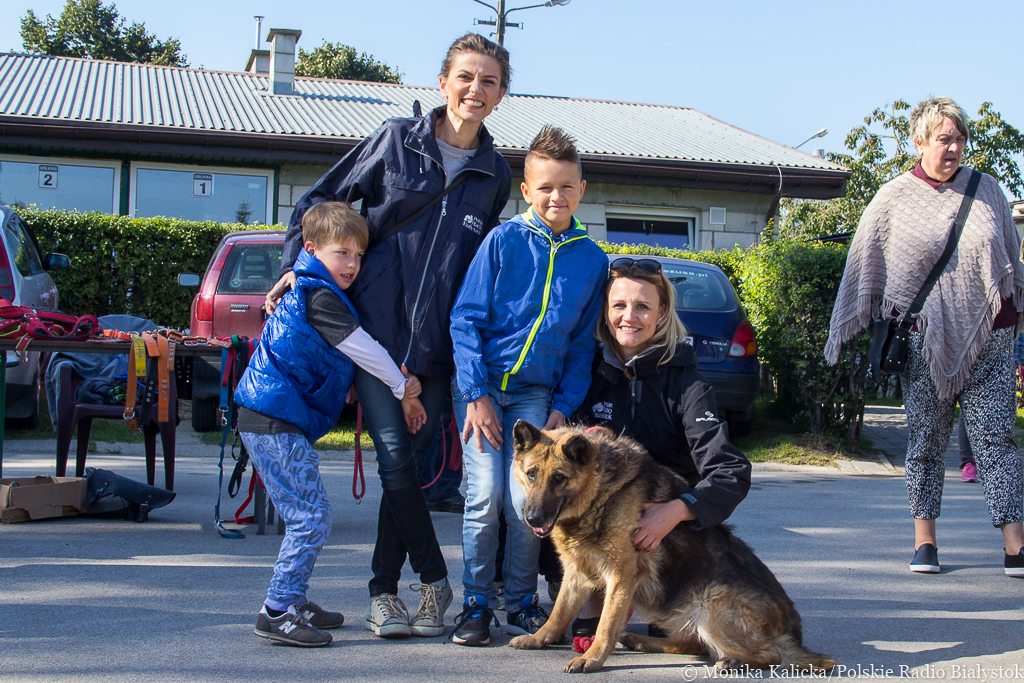 Dziennikarze Radia Białystok zachęcają do adopcji psów