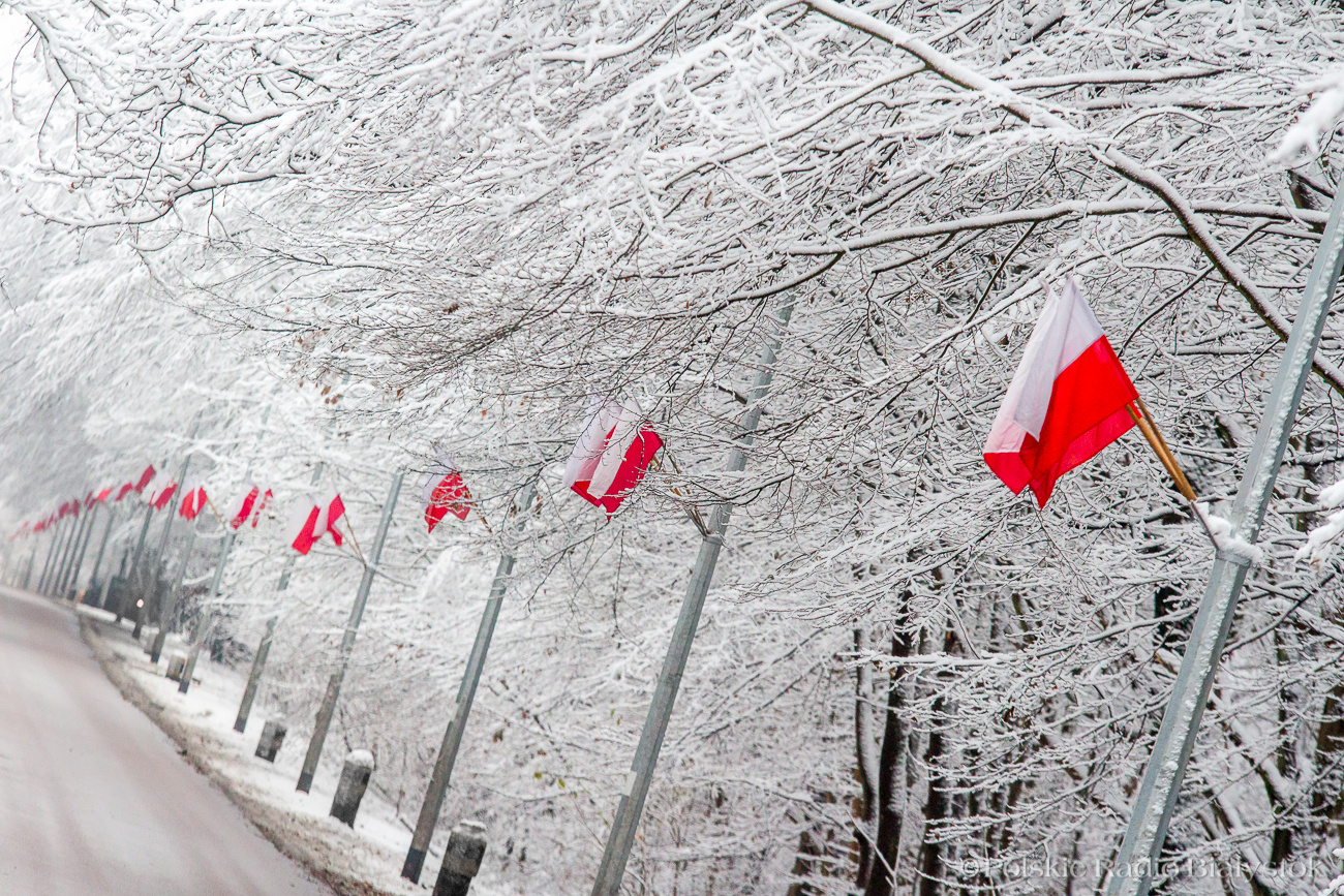 Zdjęcie naszej fotoreporterki robi furorę w Internecie