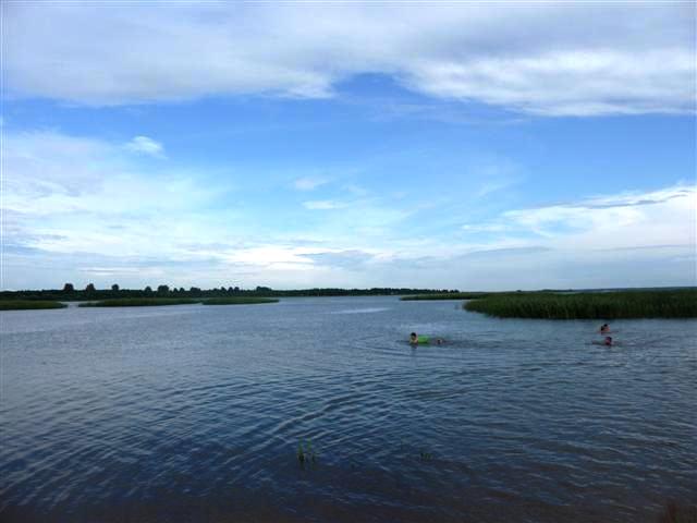 Łapią, badają i obrączkują ptaki - ornitolodzy założyli obóz nad Siemianówką