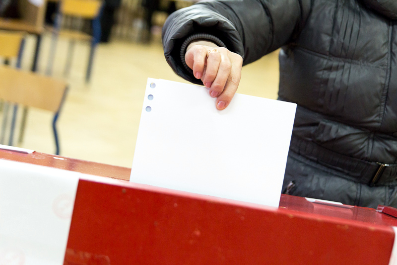 Radni, przedsiębiorca, leśnik - 7 kandydatów na burmistrza Nowogrodu