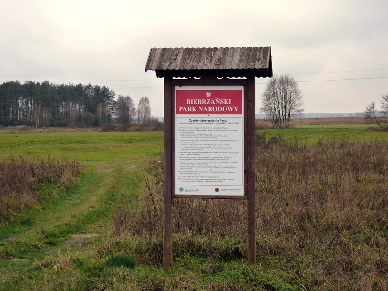 Region:  Biebrzański PN chce działać na rzecz przyrody i bezpieczeństwa przy carskiej drodze