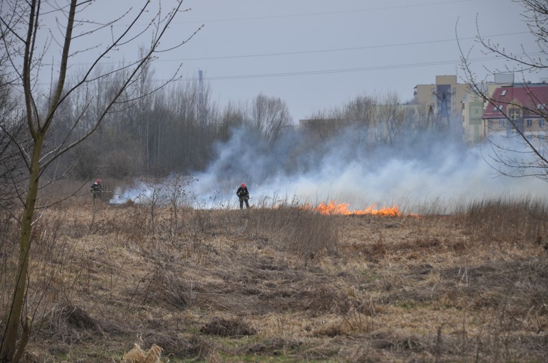 Wraz z nadejściem wiosny, wzrasta liczba pożarów traw w Podlaskiem