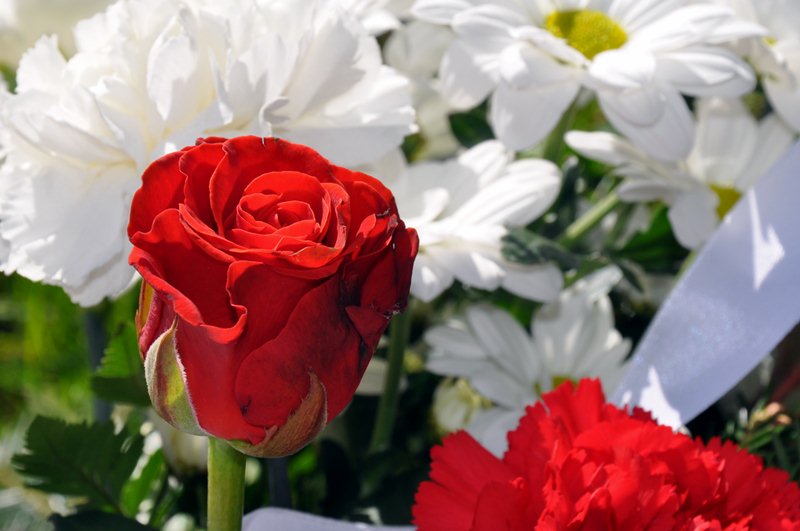 Augustów uczci 101. rocznicę założenia I Pułku Ułanów Krechowieckich