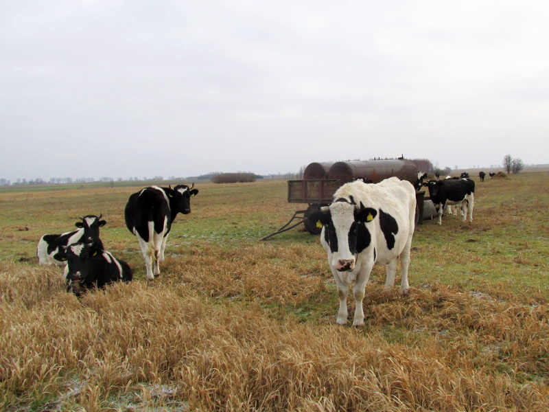 Białostocki KRUS doradza rolnikom, jak poprawić bezpieczeństwo pracy w gospodarstwach