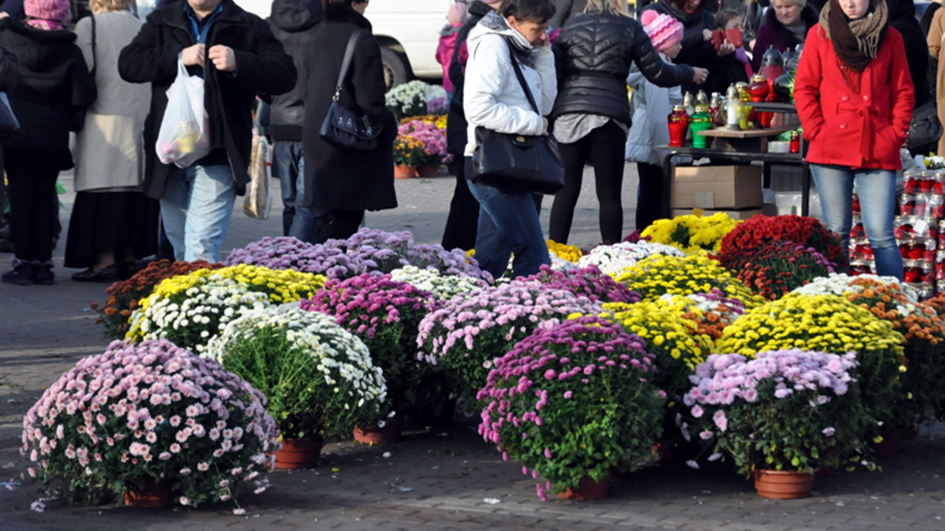 W związku z decyzją o zamknięciu cmentarzy zostanie przygotowane wsparcie dla handlowców