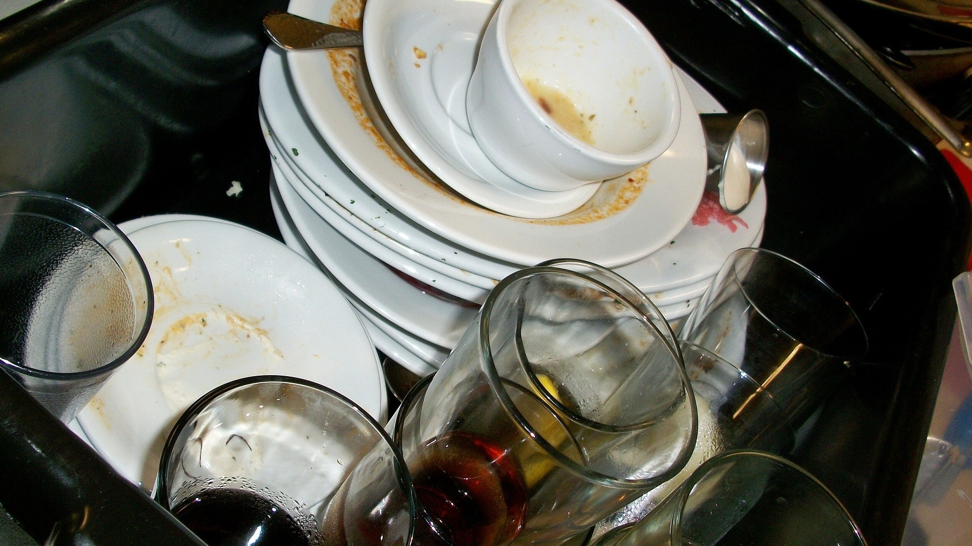 Zmywanie naczyń ręcznie i w zmywarce - eksperyment Kamila Kalickiego i Andrzeja Ryczkowskiego