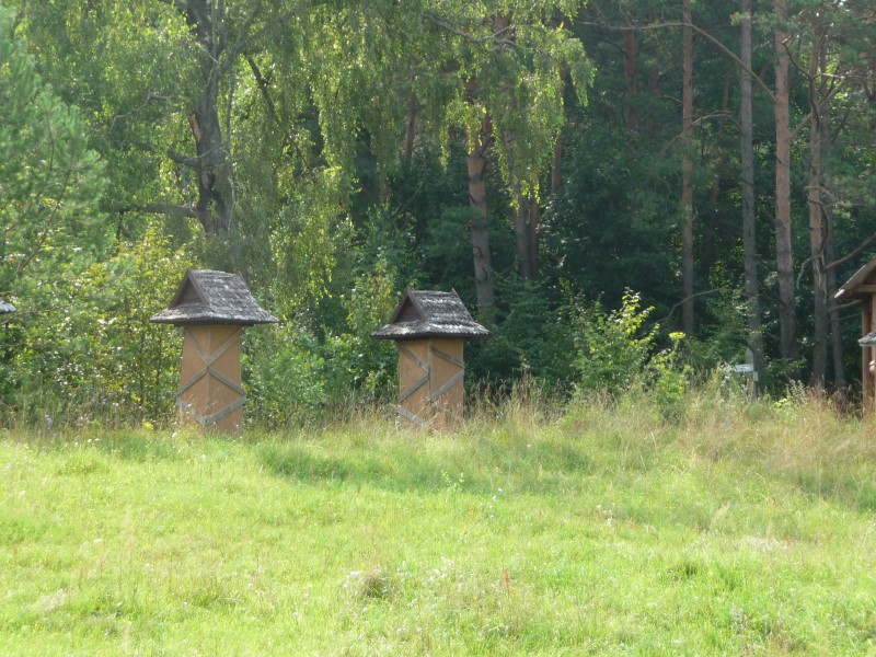 Pszczoły Włodzimierza Owłasiuka z Przybudek 01.06.2019