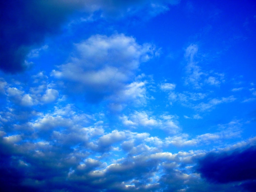 Gwałtowne burze i silny wiatr w Podlaskiem - zapowiadają synoptycy