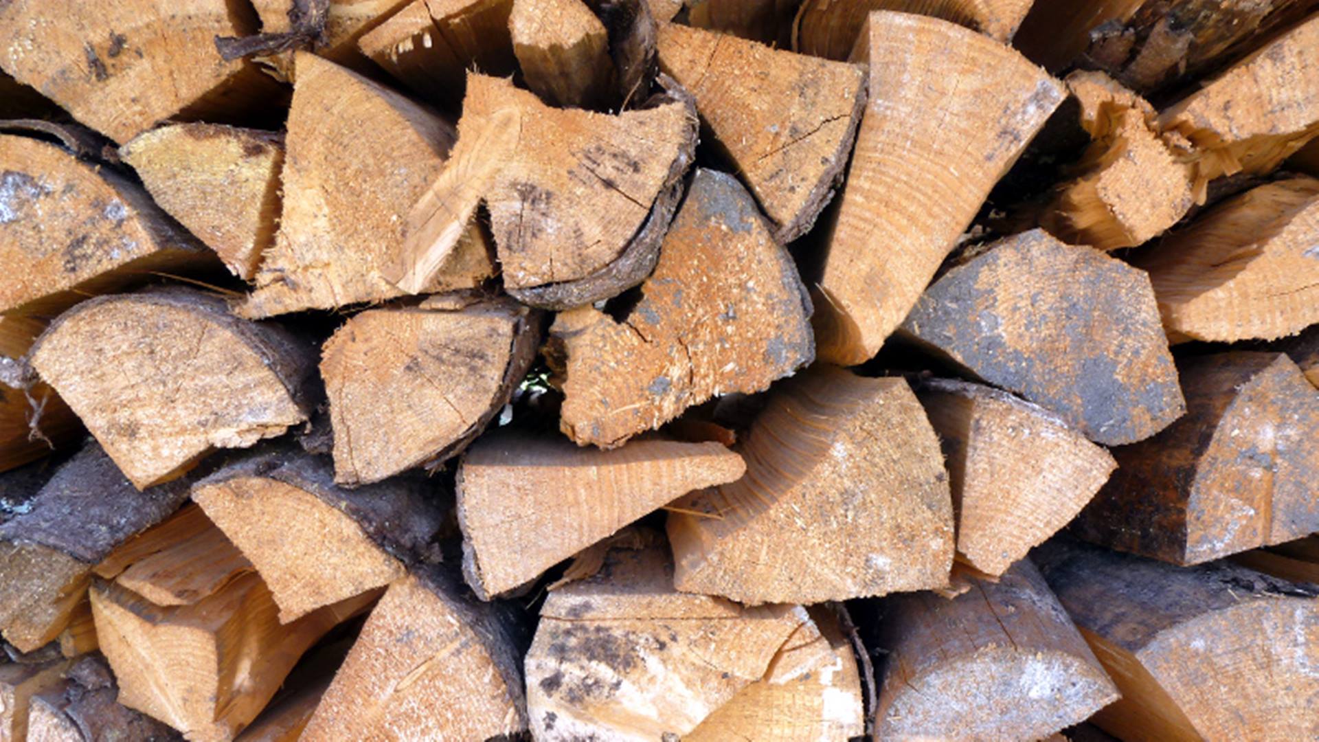 Sytuacja w podlaskiej branży drzewnej rok po przyjęciu moratorium na wycinkę lasów