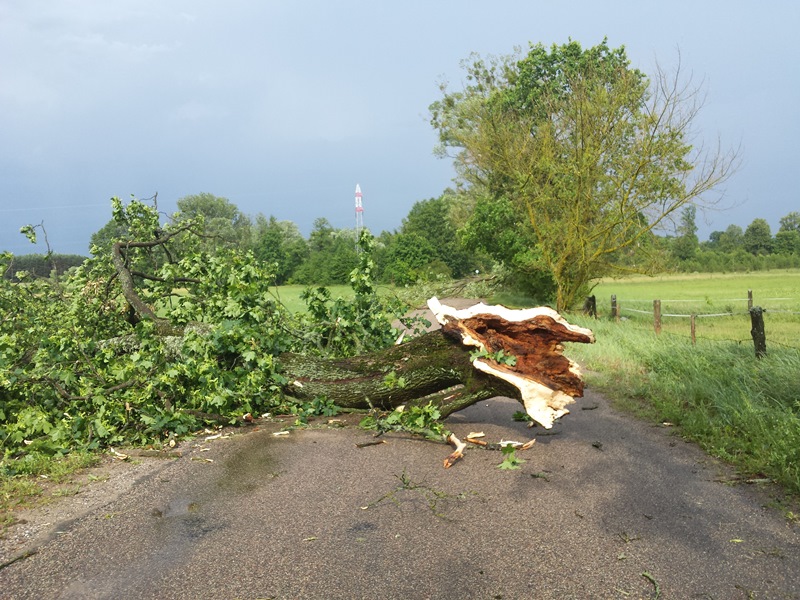 Zerwane dachy, połamane słupy, opóźnione pociągi. Podlaskie po nawałnicach [zdjęcia, wideo]