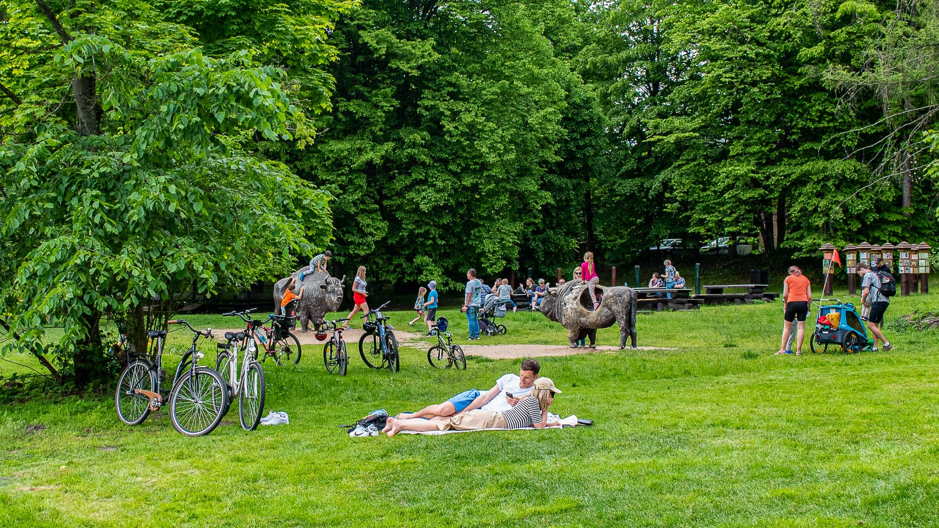 Rzesza turystów spędza długi weekend w Białowieży [zdjęcia]