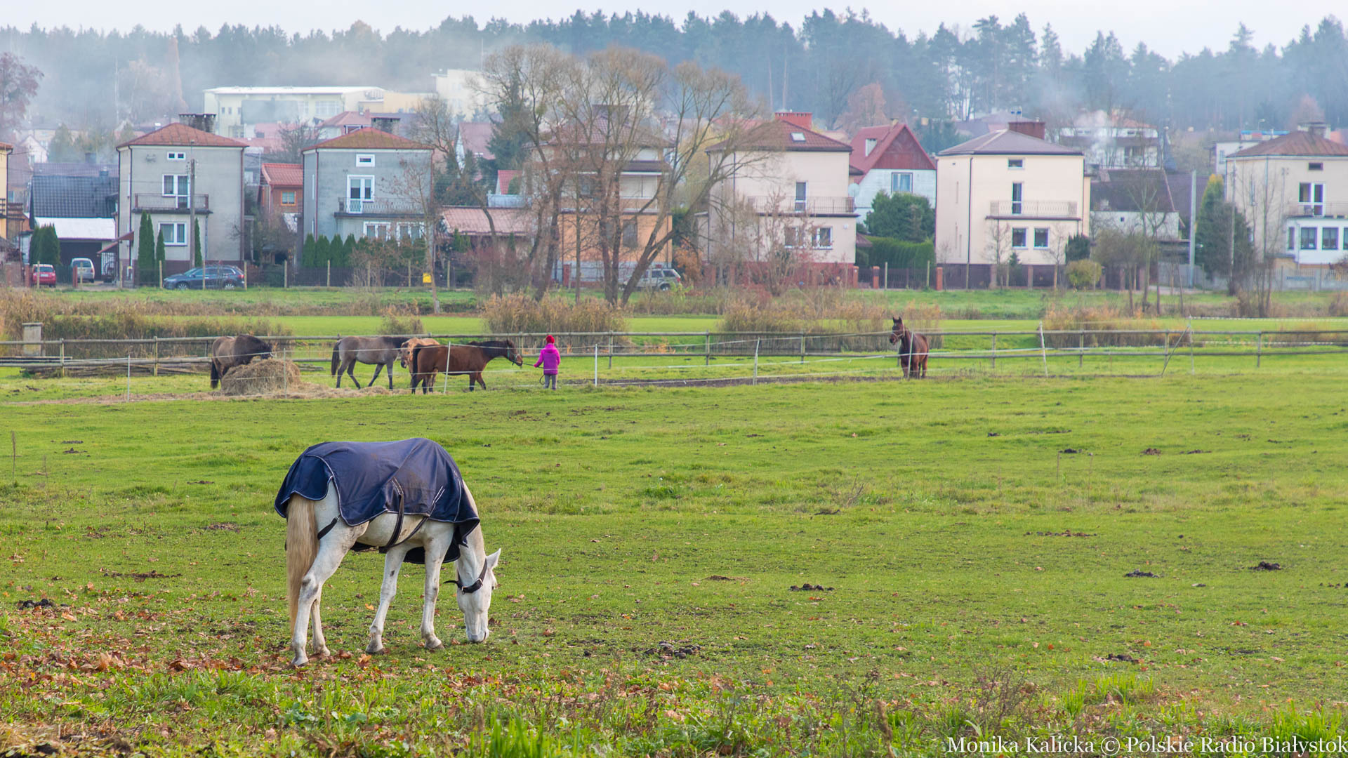 Supraśl - miasteczko na jesienny spacer [zdjęcia]