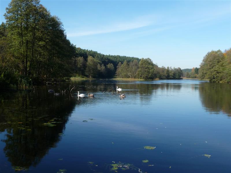 Suwalski Park Krajobrazowy był chętnie odwiedzany przez turystów