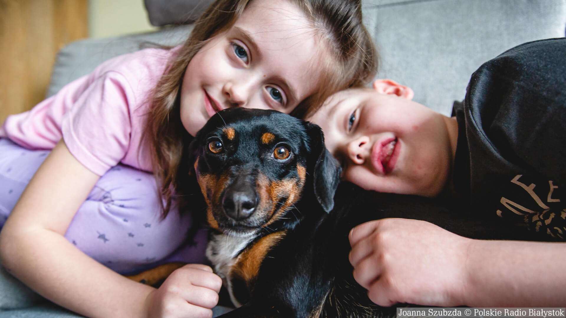 Po pożarze w MPO kilka psów z białostockiego schroniska będzie miało nowych właścicieli [zdjęcia, wideo]