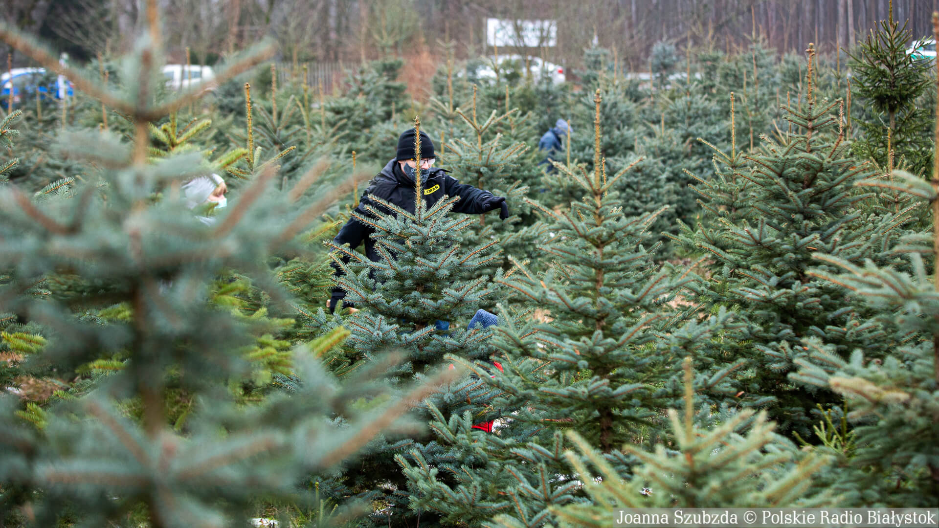 "Drzewko nadziei" - reportaż Aleksandry Sadokierskiej