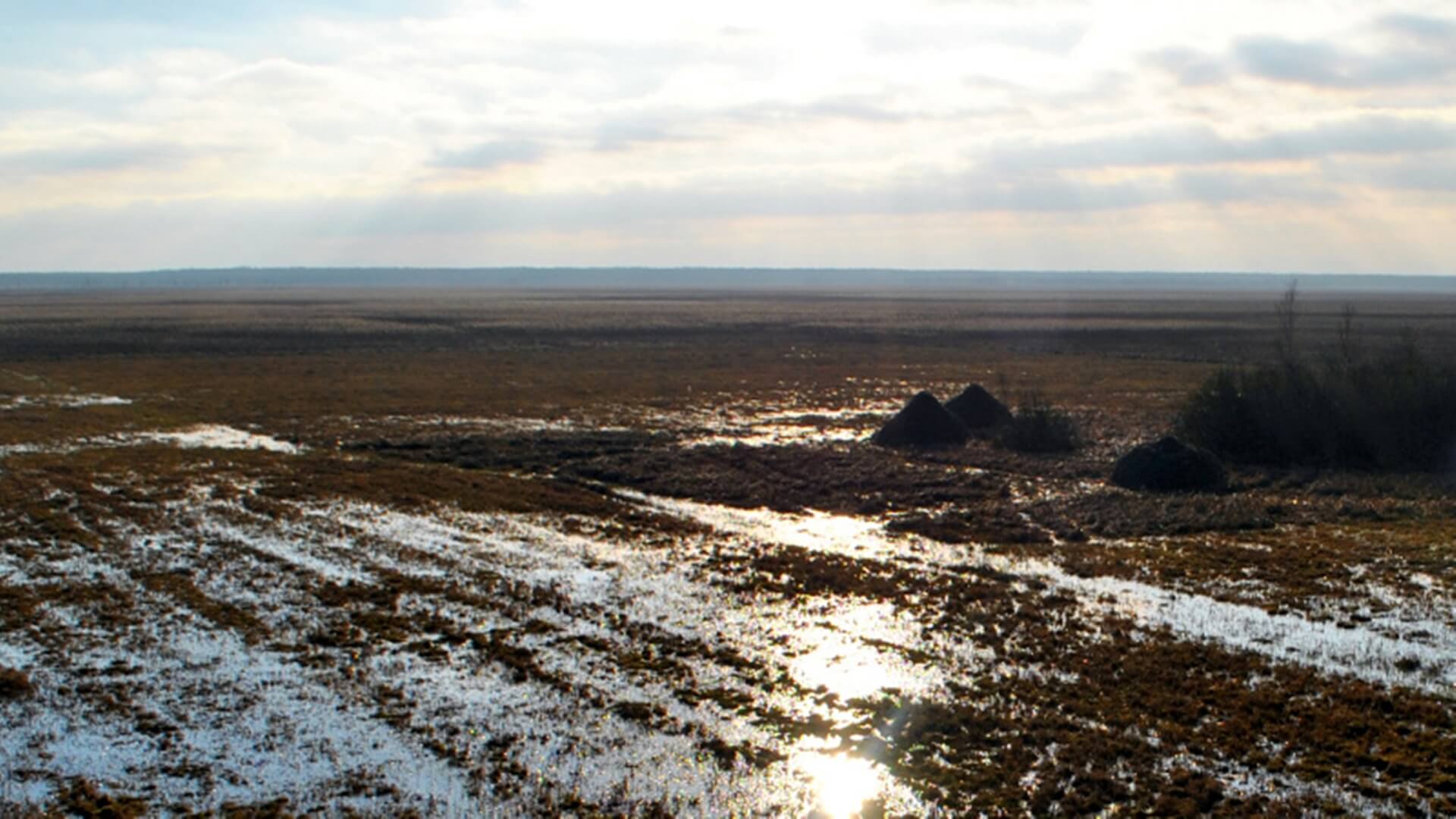 "Biebrza dla Klimatu" - Biebrzański PN o ważnej roli obszarów podmokłych