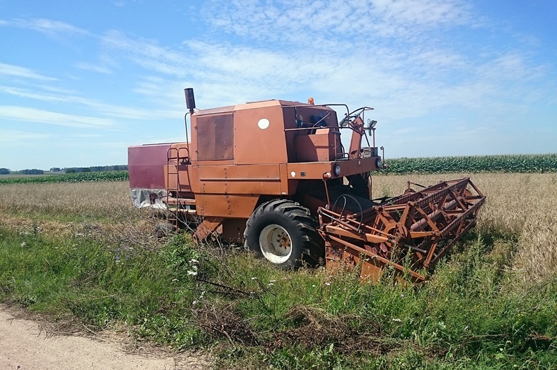 Rolnicy zaczynają żniwa a inspektorzy kontrolne wizytacje pól