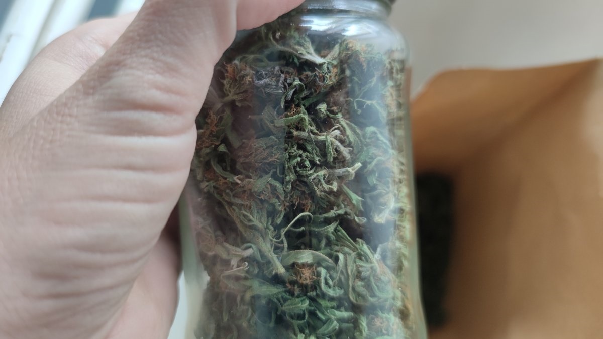 Nastolatek z Hajnówki miał w domu marihuanę. Trafił do aresztu