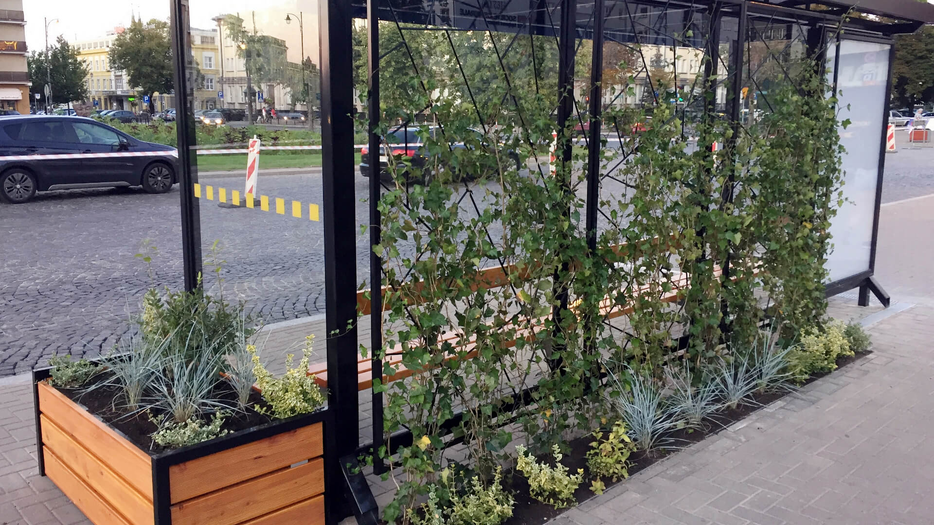 Czy w Augustowie powinny pojawić się zielone ekologiczne przystanki?