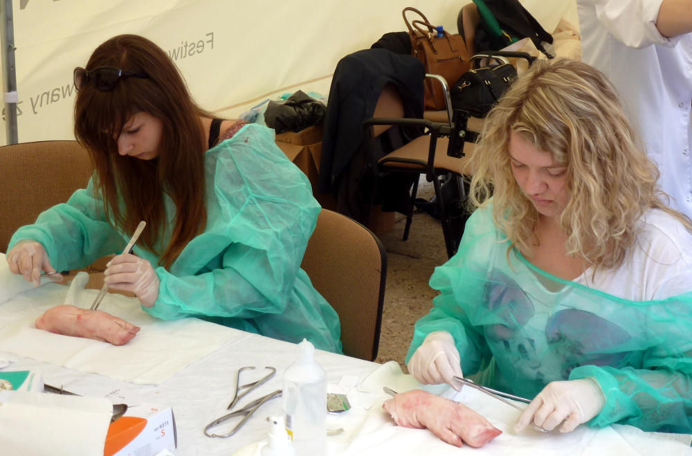 Warsztaty szycia chirurgicznego czy sporządzania leków – dzień otwarty na Uniwersytecie Medycznym w Białymstoku