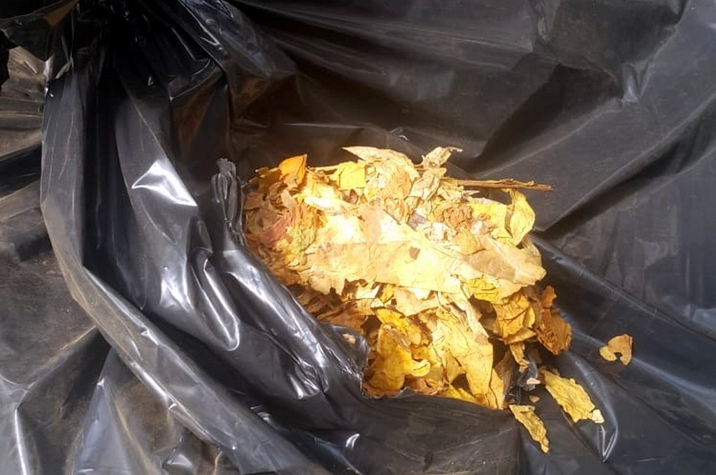 Polak próbował przemycić ponad 1,5 tony nielegalnego tytoniu