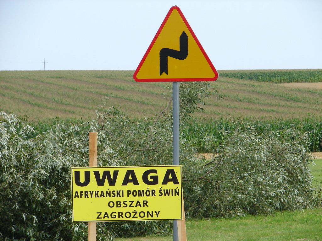 Rolnicy mogą dostać zwrot większości kosztów związanych z zapobieganiem ASF