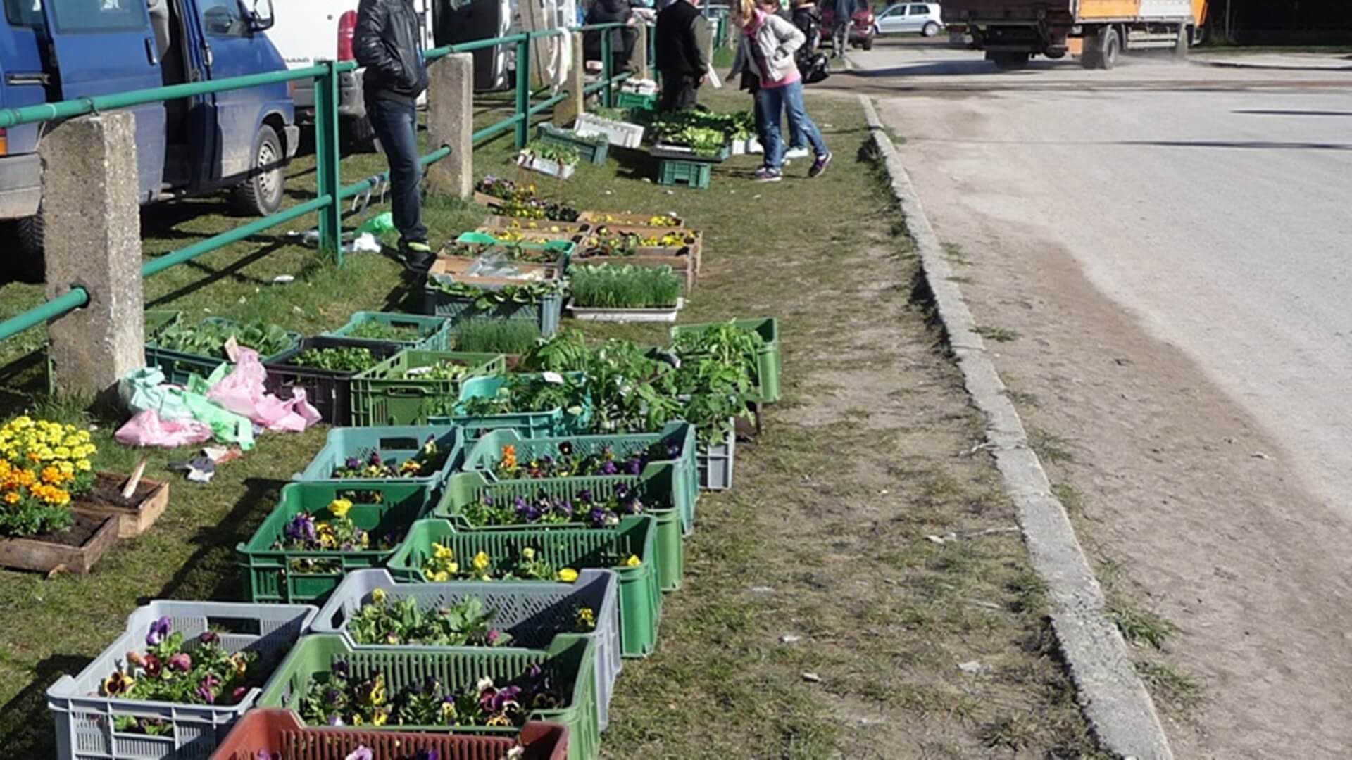 Minister rolnictwa i rozwoju wsi apeluje do samorządowców - nie zamykajcie targowisk