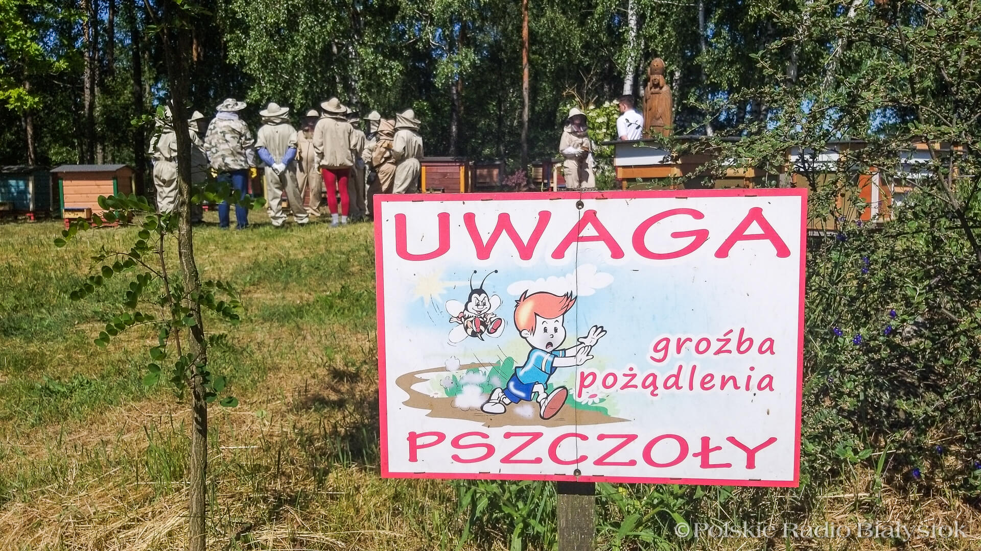 Jak hodować pszczoły - warsztaty w Korycinie [zdjęcia]