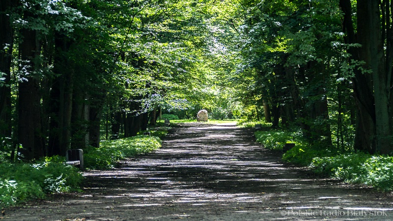 Białystok:  Aleja Niezłomnych w Parku Zwierzynieckim - trwają prace nad jej utworzeniem