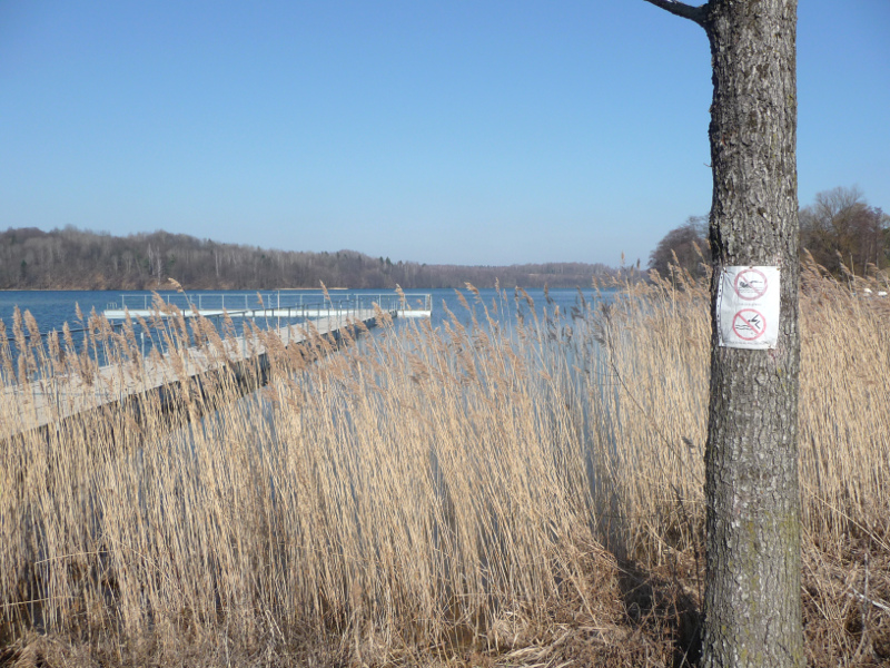 Region:  Płetwonurkowie zapowiadają protesty - jezioro Hańcza ma być dla nich niedostępne