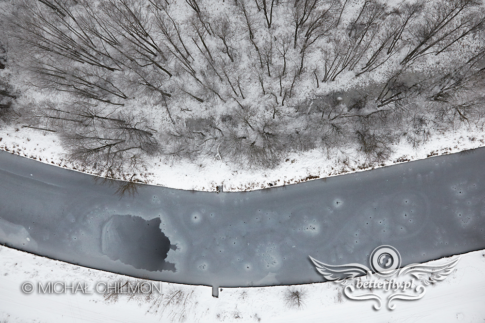 Augustów:  Ścieżki dla narciarzy biegowych