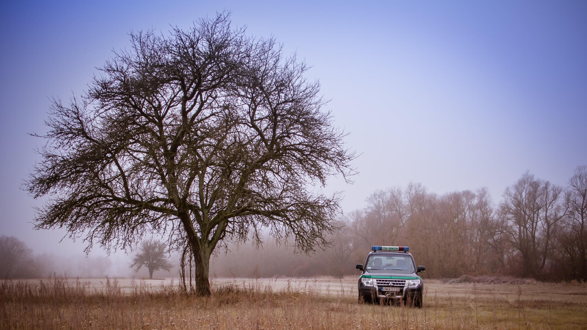 Polskie służby uratowały na bagnach małżeństwo z Iraku [wideo]