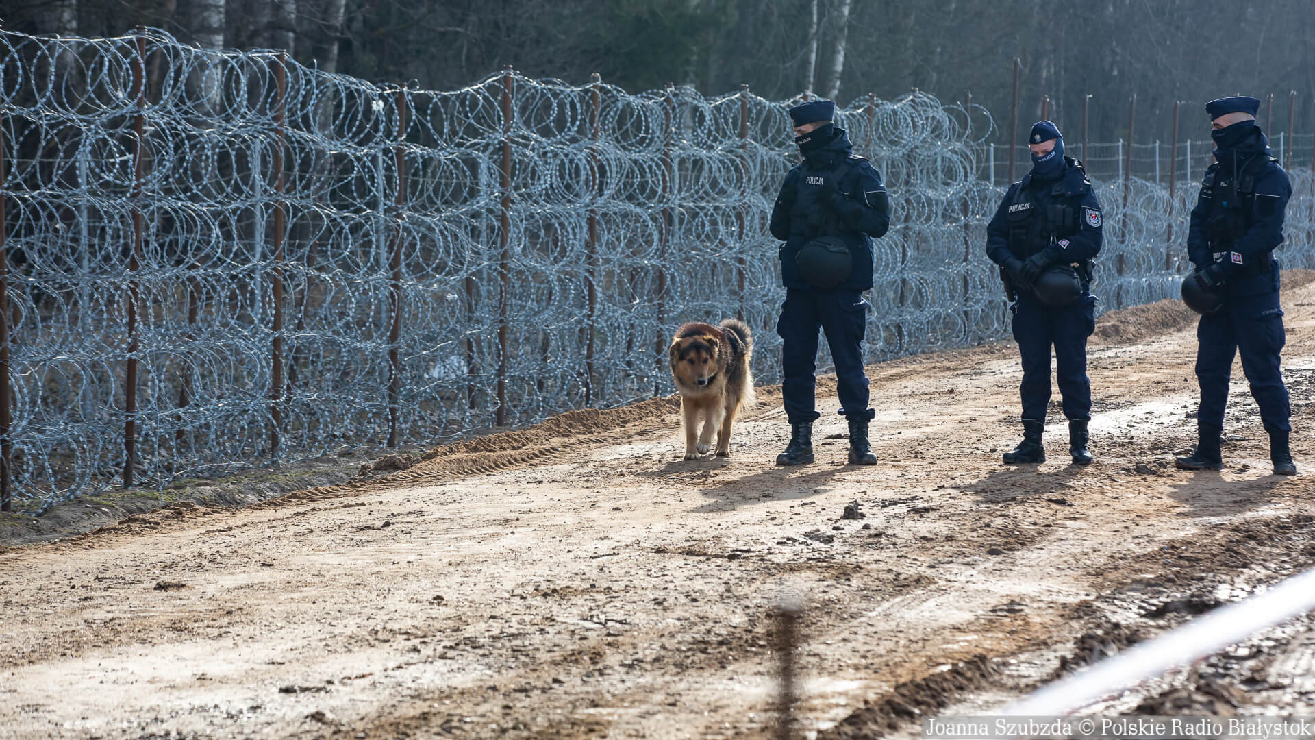 Wciąż niespokojnie na polsko-białoruskiej granicy