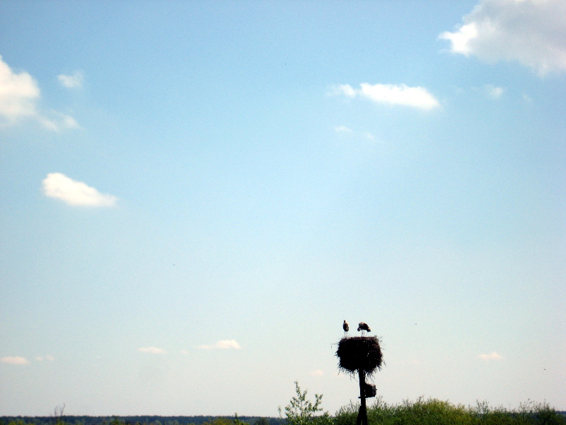 Region:  Nowe platformy dla bocianów w Suwalskim Parku Krajobrazowym