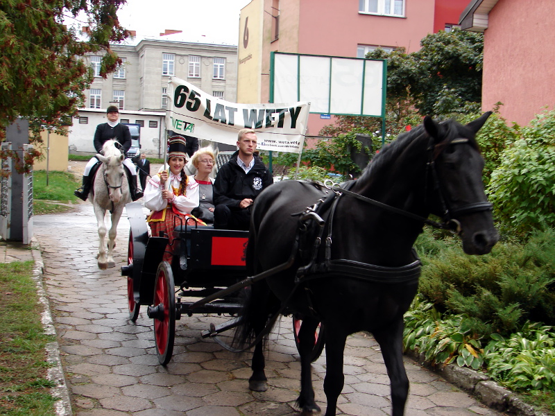 Łomża:  Zjazd absolwentów na 65-lecie Wety [zdjęcia]