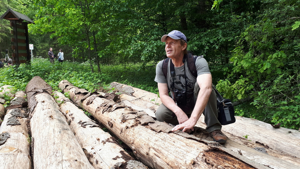 Naukowcy chcieli sprawdzić wycinkę w Puszczy - nie wpuściła ich Straż Leśna