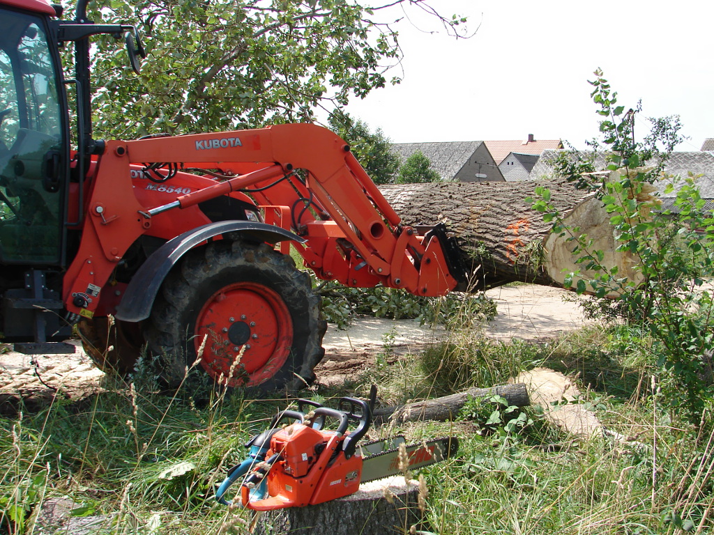 Rozpoczęła się wycinka drzew pod drogę w Karwowie w gminie Jedwabne