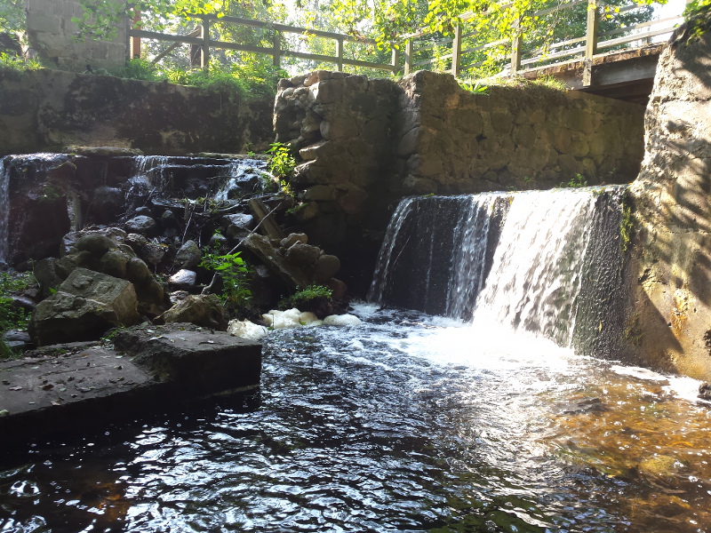 Ostatnia szansa, by zagłosować na Czarną Hańczę w konkursie na Rzekę Roku
